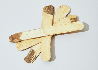Astragalus Root
