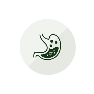 Digestion
