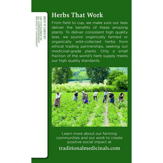 Turmeric & Ginger with Meadowsweet Tea by Traditional Medicinals