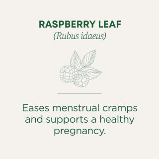 Raspberry Leaf by Traditional Medicinals