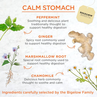 Calm Stomach by Bigelow