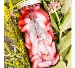 Hibiscus Cucumber by The Tea Spot