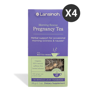 Morning Rescue Organic Pregnancy Tea by HotTea Mama