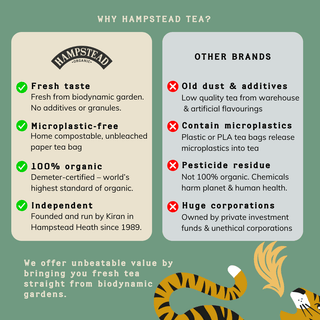 Organic Green Tea & Raspberry by Hampstead