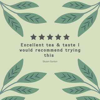 Organic Green Tea & Raspberry by Hampstead