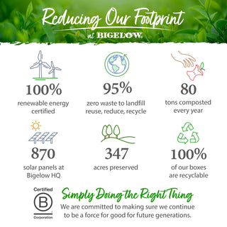 Stress Free Rose and Mint by Bigelow