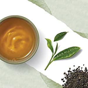 Gunpowder Green by Numi