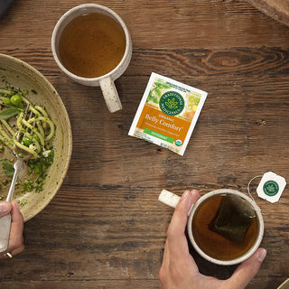 Belly Comfort by Traditional Medicinals