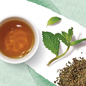 Moroccan Mint by Numi
