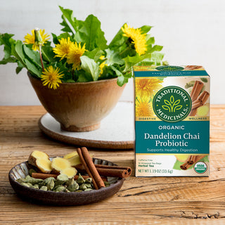 Dandelion Chai Probiotic by Traditional Medicinals