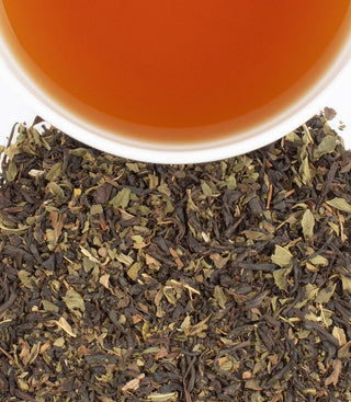 Chocolate Mint, HT Tin of 20 Sachets by Harney & Sons Fine Teas