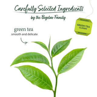 Green Tea by Bigelow