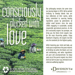 Classic Chai by Davidson's Organics