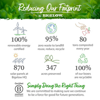 Green Tea by Bigelow