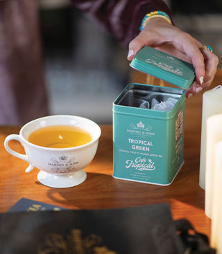 Tropical Green, Tin of 20 Sachets by Harney & Sons Fine Teas
