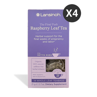 The Final Push Organic Raspberry Leaf Tea by HotTea Mama