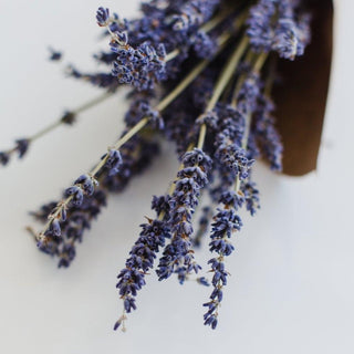 Lavender Earl Grey Pouch by Tea with Tae