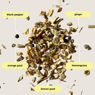 Lemon Ginger Mini Tea Tube by Tea with Tae