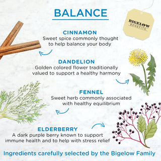 Sugar Balance Cinnamon and Blackberry by Bigelow