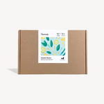 Classic Green Wellness Tea Collection